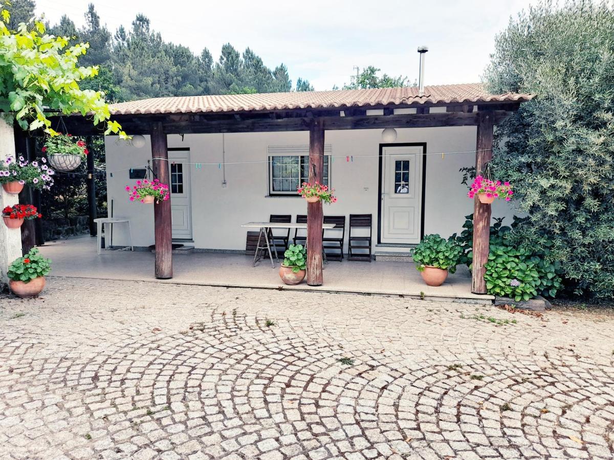 Casa Das Aveleiras - Satao Vila de Igreja Exteriör bild